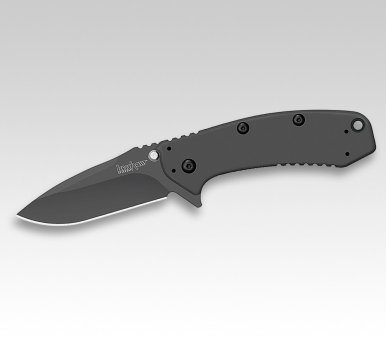 Kershaw Taschenmesser CRYO I (klein) 